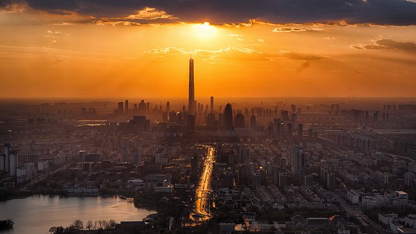 “万能药”蒲地蓝并不万能 很多人想问