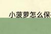 小菠萝怎么保存 怎么存放小菠萝