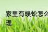 家里有蜈蚣怎么办 家里有蜈蚣怎样处理