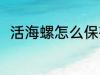 活海螺怎么保存 活海螺的保存方法