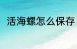 活海螺怎么保存 活海螺的保存方法