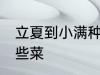 立夏到小满种什么菜 立夏到小满种哪些菜
