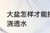 大盆怎样才能把花浇透水呢 如何给花浇透水