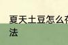夏天土豆怎么存放 夏天土豆存放的方法