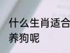 什么生肖适合养狗 到底哪些生肖适合养狗呢