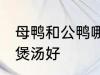 母鸭和公鸭哪个煲汤好 母鸭和公鸭谁煲汤好
