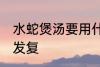 水蛇煲汤要用什么材料煲好 水蛇煲汤发复