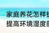 家庭养花怎样提高环境湿度 家庭养花提高环境湿度的技巧