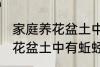 家庭养花盆土中有蚯蚓怎么办 家庭养花盆土中有蚯蚓的解决方法