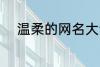 温柔的网名大全 比较温柔的网名