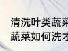 清洗叶类蔬菜怎样洗才干净 清洗叶类蔬菜如何洗才干净
