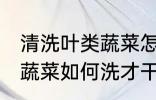 清洗叶类蔬菜怎样洗才干净 清洗叶类蔬菜如何洗才干净