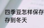 四季豆怎样保存到冬天 四季豆如何保存到冬天