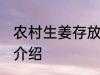 农村生姜存放方法 农村生姜存放方法介绍