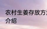 农村生姜存放方法 农村生姜存放方法介绍