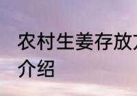 农村生姜存放方法 农村生姜存放方法介绍