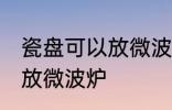瓷盘可以放微波炉吗 瓷盘到底能不能放微波炉