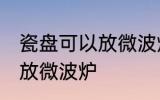 瓷盘可以放微波炉吗 瓷盘到底能不能放微波炉