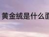 黄金绒是什么面料 黄金绒是什么材料