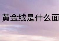 黄金绒是什么面料 黄金绒是什么材料
