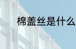 棉盖丝是什么面料 棉盖丝简介