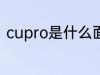 cupro是什么面料 cupro是哪种面料