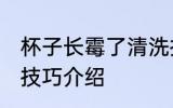 杯子长霉了清洗技巧 杯子长霉了清洗技巧介绍