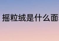 摇粒绒是什么面料 摇粒绒是哪种面料