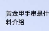 黄金甲手串是什么原料 黄金甲手串原料介绍