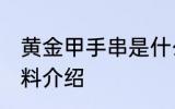 黄金甲手串是什么原料 黄金甲手串原料介绍
