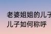 老婆姐姐的儿子怎么称呼 老婆姐姐的儿子如何称呼