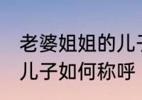 老婆姐姐的儿子怎么称呼 老婆姐姐的儿子如何称呼