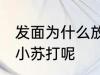 发面为什么放小苏打 发面为什么要放小苏打呢