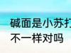 碱面是小苏打吗是什么 碱面和小苏打不一样对吗