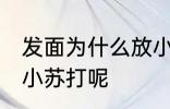 发面为什么放小苏打 发面为什么要放小苏打呢