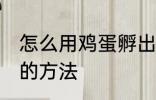 怎么用鸡蛋孵出小鸡 用鸡蛋孵出小鸡的方法