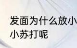 发面为什么放小苏打 发面为什么要放小苏打呢