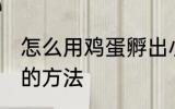 怎么用鸡蛋孵出小鸡 用鸡蛋孵出小鸡的方法