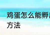 鸡蛋怎么能孵出来小鸡 鸡蛋孵小鸡的方法