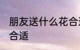 朋友送什么花合适 朋友之间送什么花合适