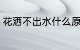 花洒不出水什么原因 花洒为何不出水