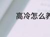 高冷怎么养成 高冷如何养成