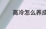 高冷怎么养成 高冷如何养成