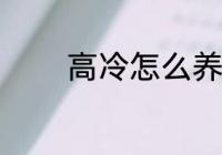 高冷怎么养成 高冷如何养成