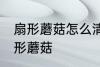 扇形蘑菇怎么清洗更干净 怎么清洗扇形蘑菇