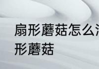 扇形蘑菇怎么清洗更干净 怎么清洗扇形蘑菇