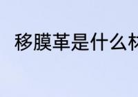 移膜革是什么材质 移膜革简单介绍