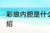 彩琅内胆是什么材质 彩琅内胆材质介绍