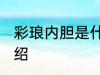 彩琅内胆是什么材质 彩琅内胆材质介绍