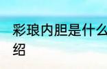 彩琅内胆是什么材质 彩琅内胆材质介绍